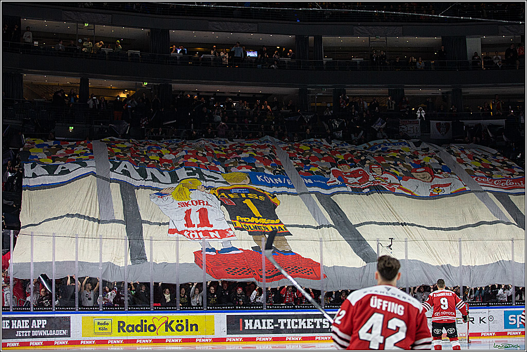 PENNY DEL; Koelner Haie- Duesseldorfer EG; Koeln, 16.12.2022
